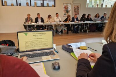 Agrandir l'image 1 sur 7, fenêtre modale